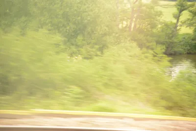 DSC_2519 (Large).JPG